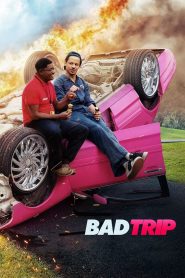 Bad Trip (2020) Монгол хэлээр