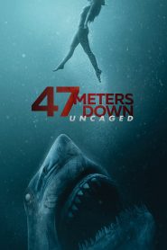 47 Meters Down: Uncaged (2019) Монгол хэлээр