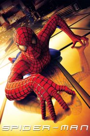 Spider-Man (2002) Монгол хэлээр