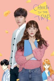 Cheese in the Trap (2018) Монгол хэлээр