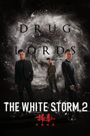 The White Storm 2: Drug Lords (2019) Монгол хэлээр