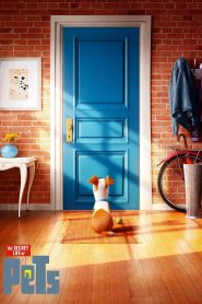 The Secret Life of Pets (2016) Монгол хэлээр